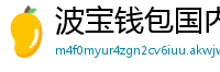 波宝钱包国内下载